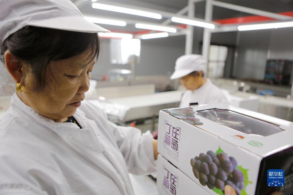 超级大满贯手机版下载